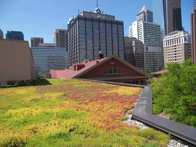 paysagiste-ST MARTIN VESUBIE-min_green-roof-portfolio-4